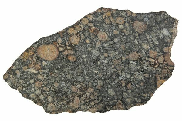 A slice of a Carbonaceous chondrite meteorite, NWA 8160.